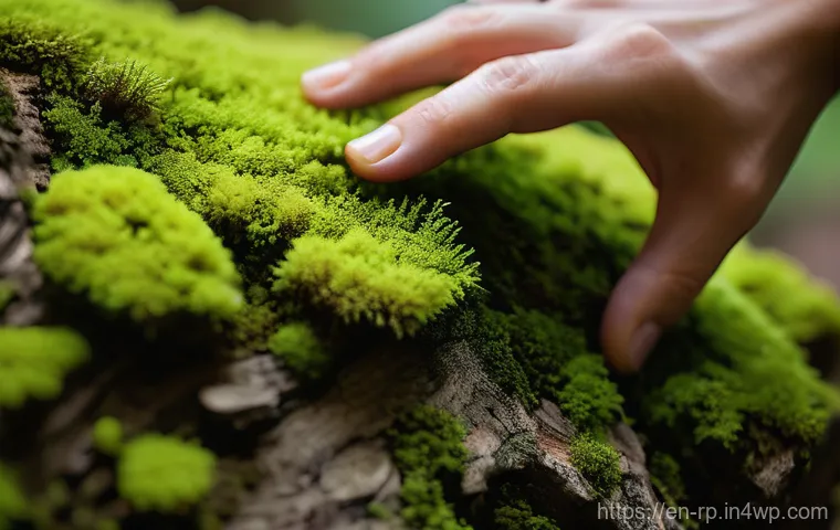 자연 속에서의 명상  나의 여정 - **Prompt: Serene Forest Bathing Experience**
    A tranquil, hyper-realistic wide shot of an adult i...