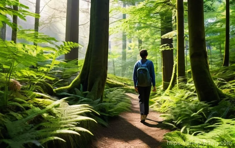 자연 명상과 정신 건강의 관계 - **Prompt:** A serene full-body shot of a person mindfully walking on a soft, mossy forest path. Sunl...